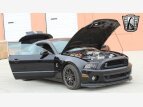 Thumbnail Photo 20 for 2014 Ford Mustang Shelby GT500 Coupe